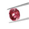 Pink Tourmaline